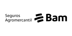logo bam formulario
