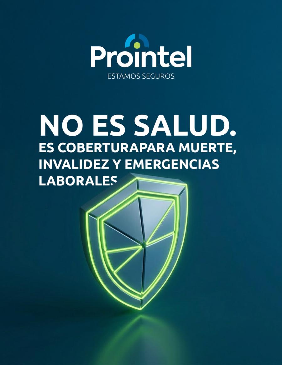 Ganaste el proyecto: el seguro de accidentes personales que exige la licitación · página 3