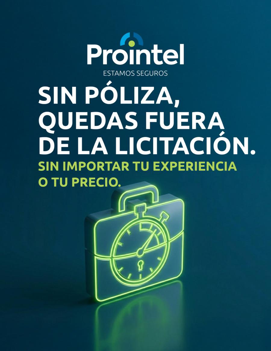 Ganaste el proyecto: el seguro de accidentes personales que exige la licitación · página 4
