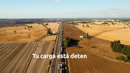 Para la Alta Gerencia y la Dirección de Logística: dónde se rompe la cadena.