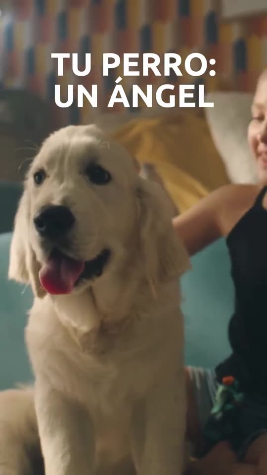 El amor es ciego; la factura del veterinario, no.